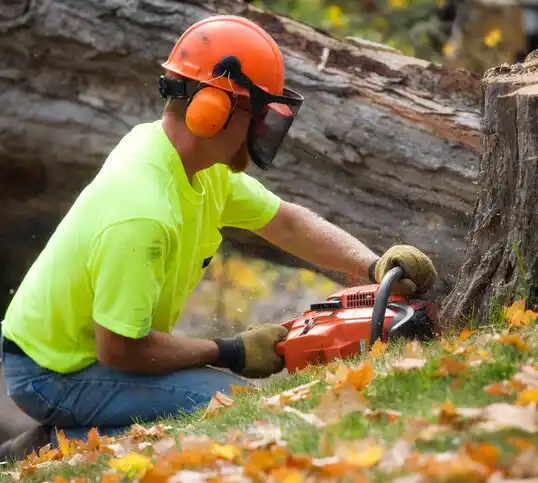 tree services Altmar